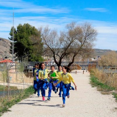 primaria4 primaria4